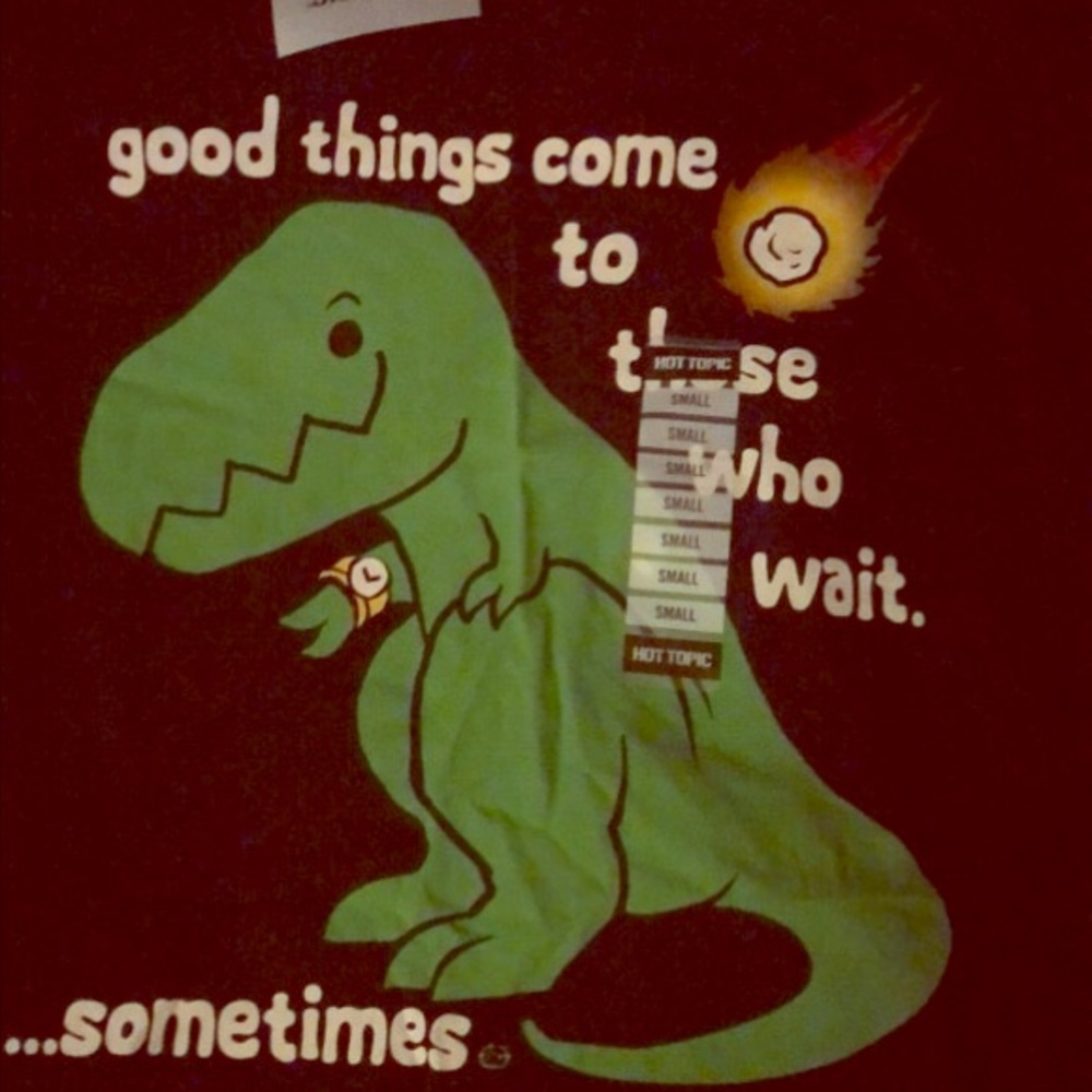 Cute dinosaur top